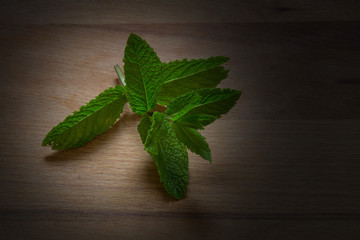 fresh mint leaves on wooden table