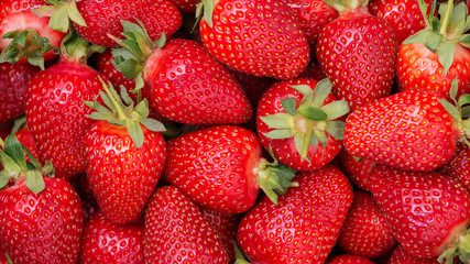 Background from freshly harvested strawberries, directly above.