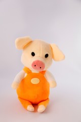 soft toy isolated on white background
