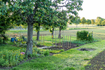 Baumgrundstück mit Gemüsegarten im Sommer