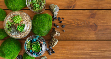 Composition of florariums and moss stones