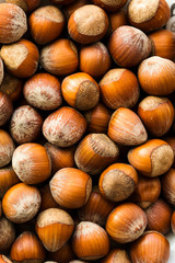 Hazelnut macro background