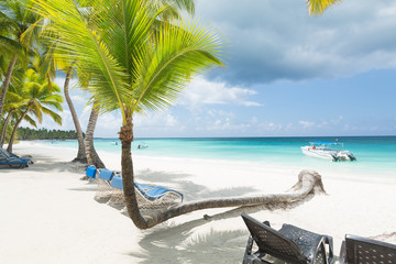 Beach calm scene with sunbeds under coconut palms close to Caribbean sea. Tropical paradise with chaise lounges on white sand, beautiful travel card background