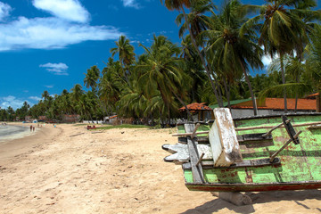 Praia Brasileira, com barco de pescador nativo, mostrando coqueiros e mar.