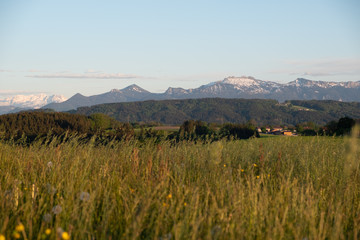 Alpenpanorama