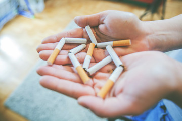 Quit Smoking Concept . Female Hands Holding Bunch Broken Cigarettes.  Unrecognizable Person . Stop...