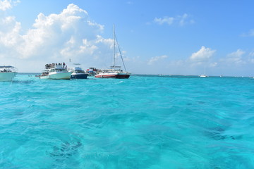 Beah in Clear Water