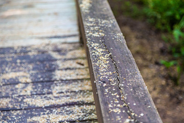 Sawdust on Treated Lumber after repairs to a wooden boardwalk