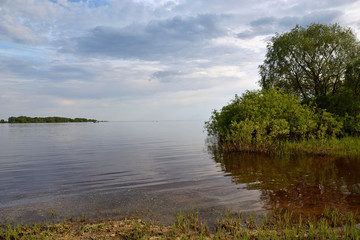 Lake  Ilmen  with willows in the foreground and the shore with green grass and cloudy skies. Summer landscape with a lake.Lake Ilmen Novgorod region