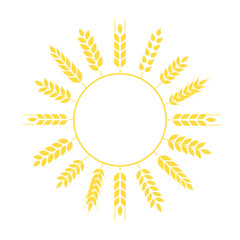 Wheat grains of different shapes set. A set of icons ready to use in your design. Vector icons can be used on different backgrounds. EPS10.	