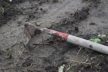 Garden Hoe