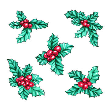 Christmas berry holly or ilex. Res xmas fruit. Winter aquifolium leaves decor. Christmas berry traditional symbols set