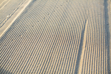 Texture of the sea beach light crumbly sand.