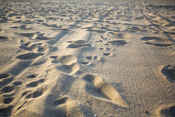 Texture of the sea beach light crumbly sand.