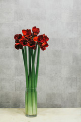 A bouquet of red callas close up