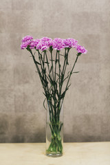 A bouquet of pink carnations close up