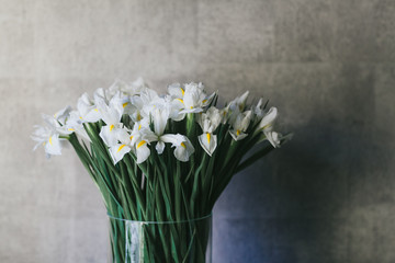 A bouquet of large white irises close up