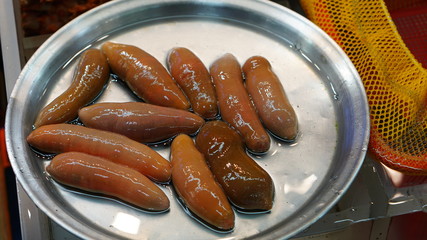 Fresh raw sea cucumber at Jagalchi fish market in Busan in South Korea
