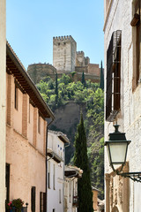 Fototapeta premium view of castle Alhambra from a street of Granada