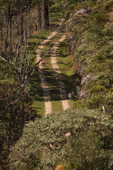 entrance of dirt road that gives access to a farmhouse