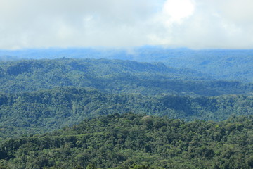 View of tropical rainforest and clouds moving in