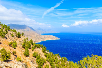 Green pine trees on high cliffs above sea on Karpathos island, Greece