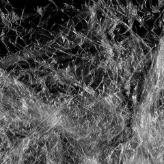 Transparent plastic wrap on the black background. Plastic bag texture. Reusable trash and waste.