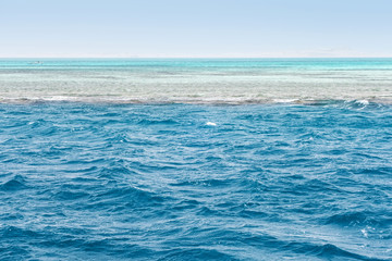 Fototapeta premium Africa Egypt White Island Ras Mohamed Red Sea, Sinai Peninsula.