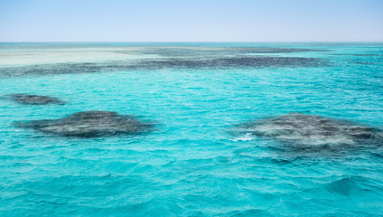 Fototapeta na wymiar White Island Ras Mohamed National Park Red sea. Seashore Sharm el Sheikh, Egypt.