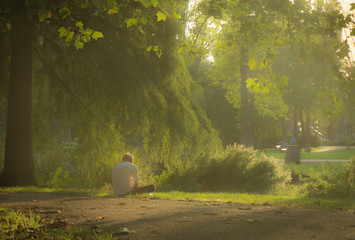 Reading under a Tree in Amsterdam