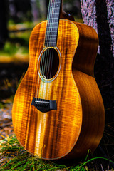 Guitar in the woods on a nice day