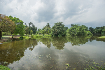 A cloudy day at the botanic gardens of Singapore , full of amazing trees and plants as well with a lakes that provides home to the local animals
