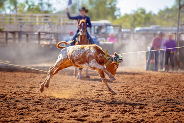 Calf Roping Competition At An Australian Rodeo
