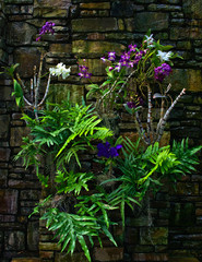 Hanging Garden