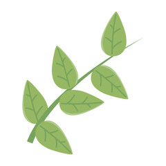 Isolated leaf design vector illustration