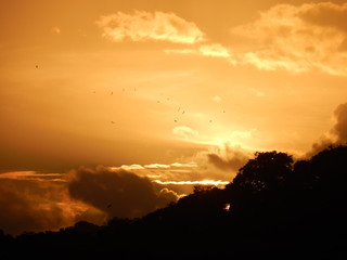 sunset