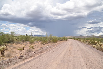 Fototapeta na wymiar Arizona monsoon season