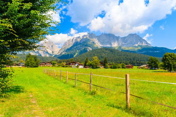 Green pasture for horses in Going am Wilden Kaiser village on beautiful sunny summer day, Tirol, Austria