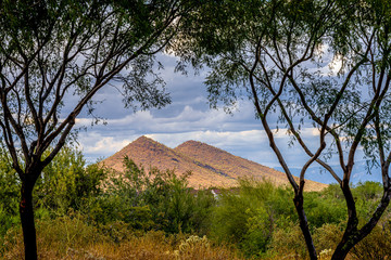 Naklejka premium Twin Peaks Landscape