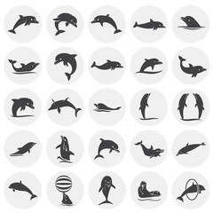 Dolphin icons set on background for graphic and web design. Simple illustration. Internet concept symbol for website button or mobile app.