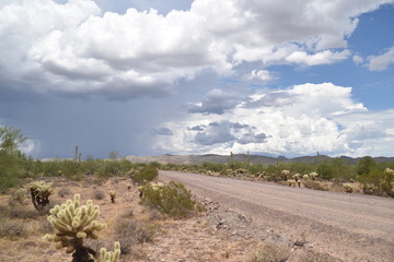 Naklejka na ściany i meble Arizona monsoon season
