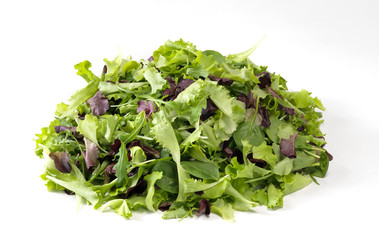 Insalata variegata su sfondo bianco