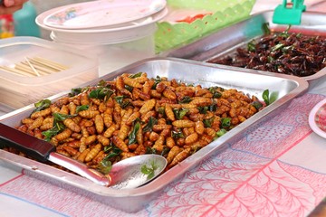 Fried insect at street food