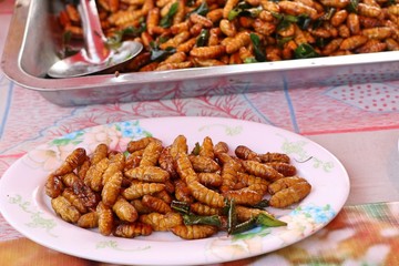 Fried insect at street food