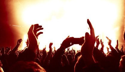 cheering concert crowd at rock concert