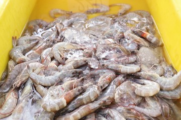 fresh shrimp at street food