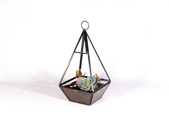 Pendant Terrarium With Succulents On A White Background