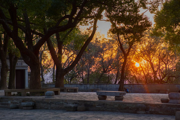 Naklejka na ściany i meble Sunset view in Tiger Hill park in China, Suzhou with forest on background