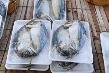Fresh mackerel at the market