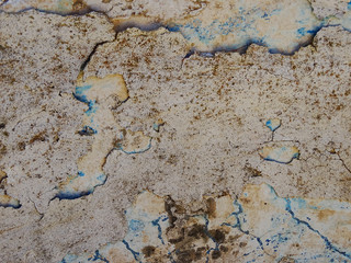 Old Peeled Wall Texture 8